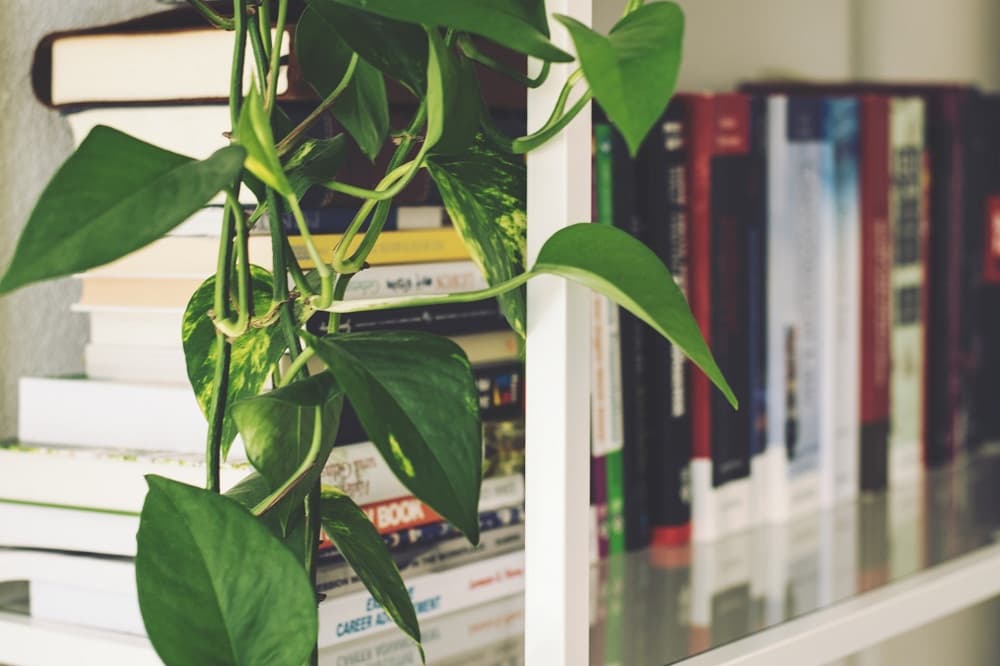 things successful people do during lunch break read