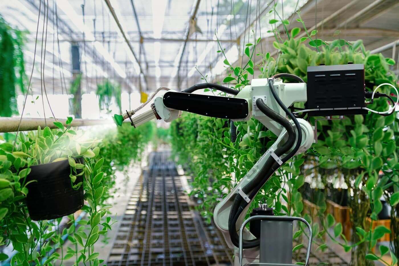 Robots human workers replacement