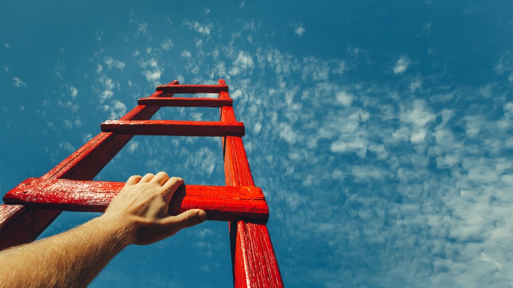 Build a purpose driven organization