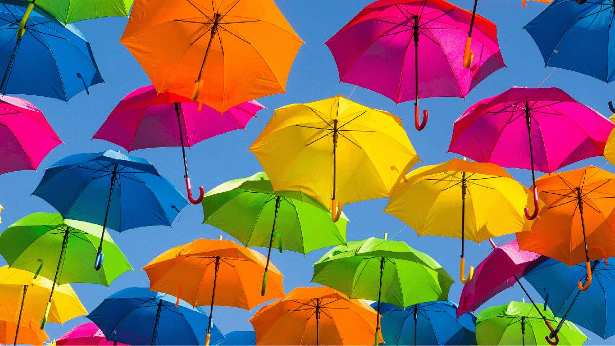 How to build diverse workplace 