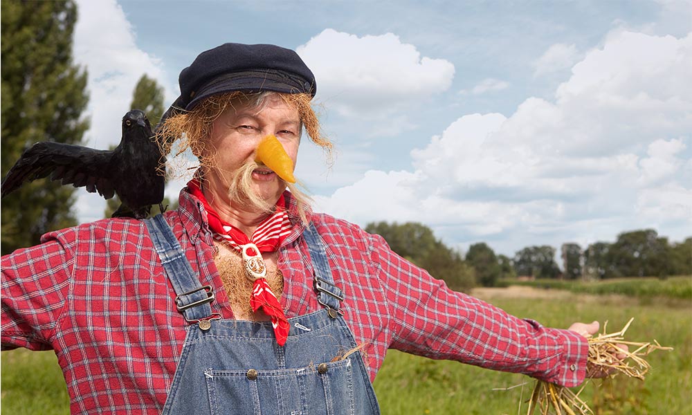human scarecrow weirdest jobs that pay well