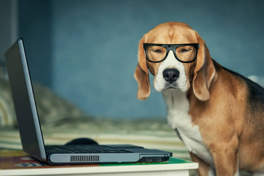How To Start A Professional Email (Email Opening Samples)
