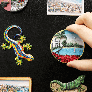 A funny magnet or fridge magnet set.