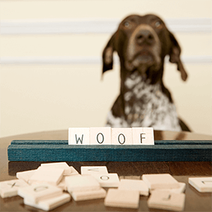 A humorous card game or board game.