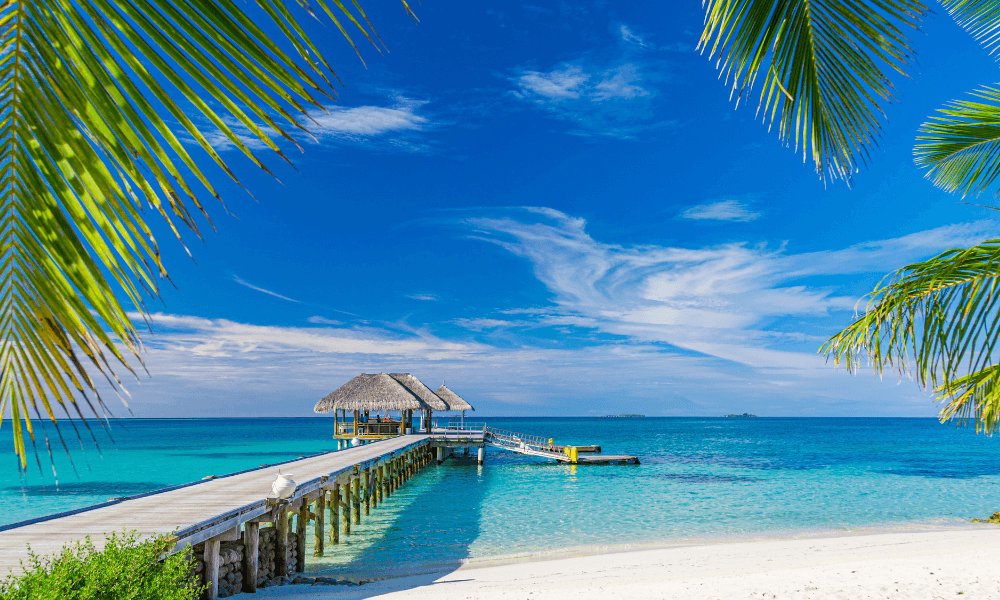 Corporate Retreat for Employees