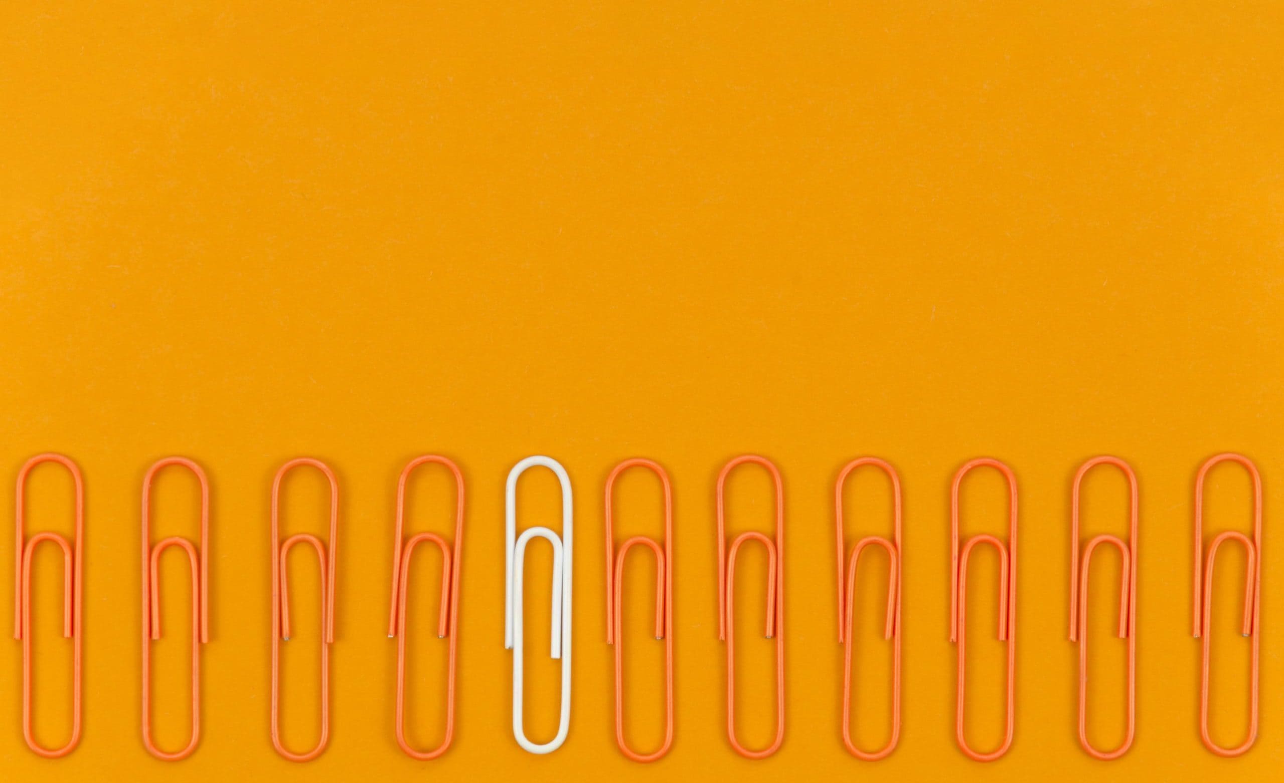 Disability employment services