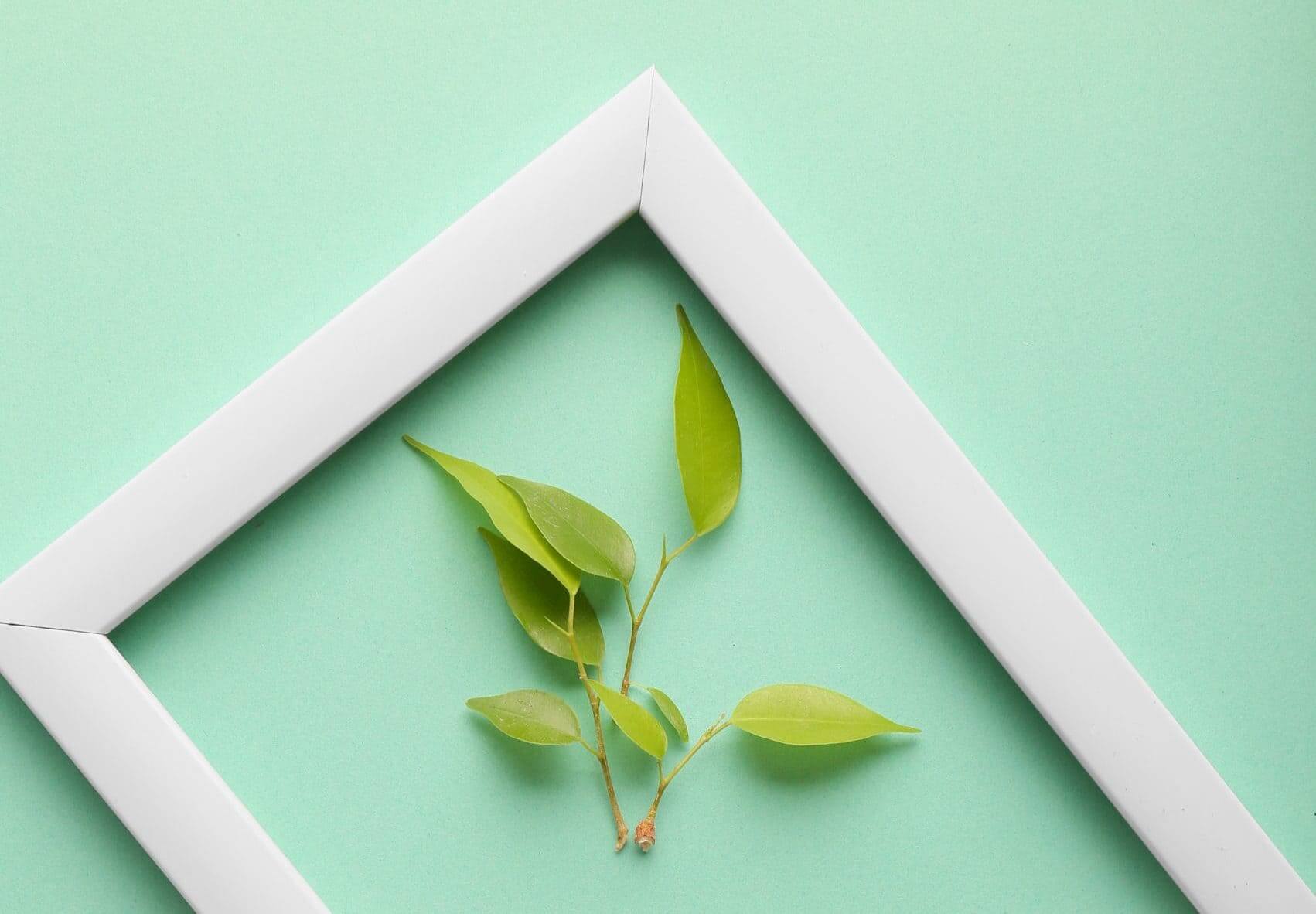 ESG certification MetricStream