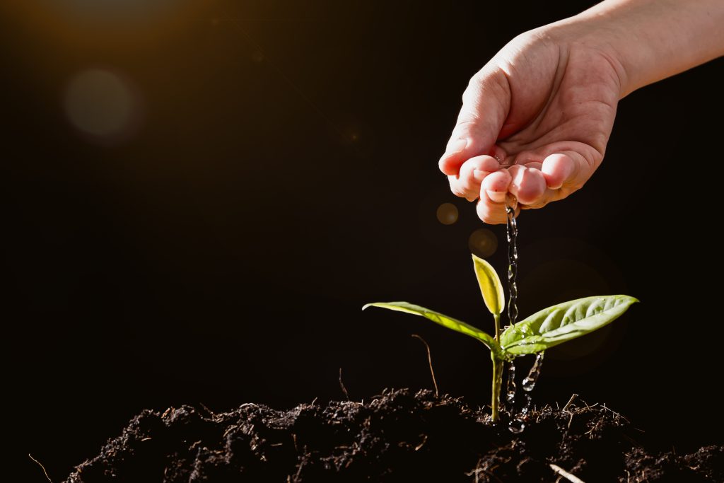 Role of HR in CSR