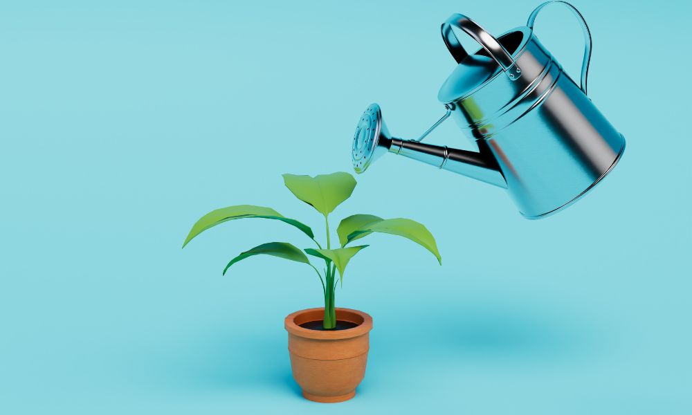 Building a Strong Company Culture 