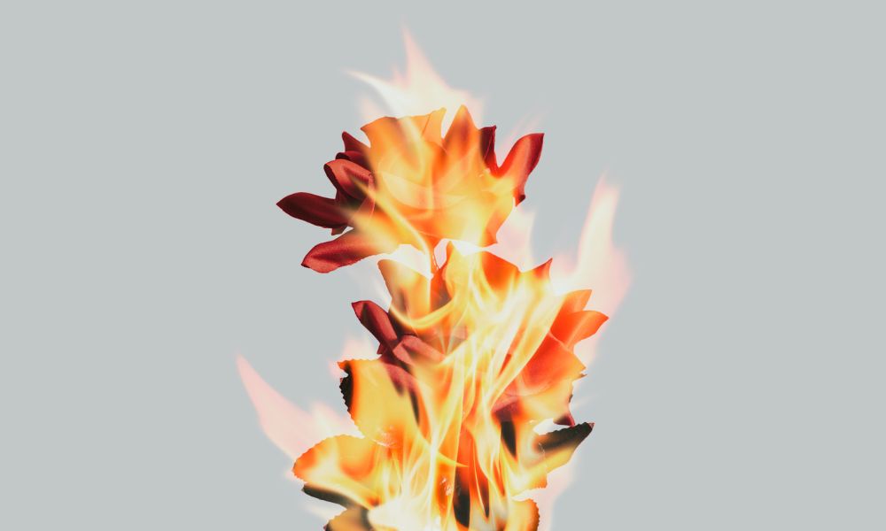 Workplace Burnout