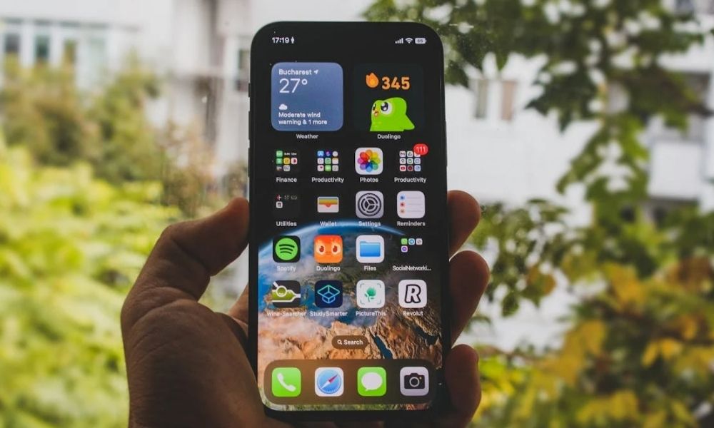 Duolingo CEO AI defense