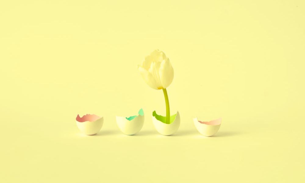 Finland hiring top talent