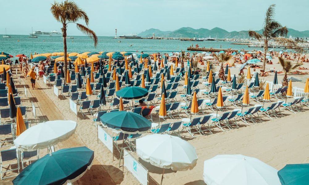 Summer Friday policy