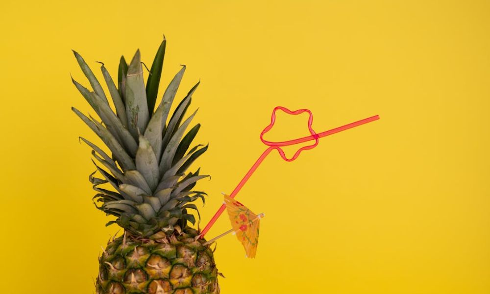 PTO employee turnover